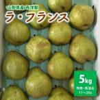 西洋梨 ラフランス 5kg