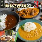 みやざきカレー3種セット※ポスト投函