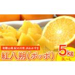 紅八朔 ポッポ 約5kg