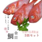 脂 金目鯛 3匹セット M026-004-02