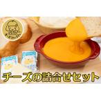 ふるさと納税 チーズの詰合せセット 愛知県津島市