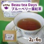 Beau tea Days ブルーベリー葉