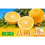 八朔 はっさく ネット入 約15kg