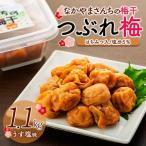 なかやまさんちの梅干 1.1kg×1箱