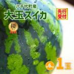 令和9年産 大玉 スイカ 優以上 L1玉 約6kg
