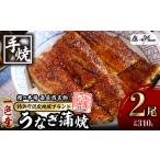 一色産うなぎ 炭焼き蒲焼2尾