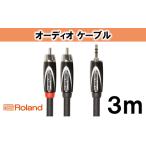 fu.... налог [Roland оригинальный ] аудио кабель 3m/RCC-10-352RV2[ рассылка не возможно : отдаленный остров ] префектура Shizuoka город Hamamatsu 