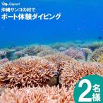 チケット ボート体験 ダイビング 2名
