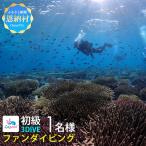 ファンダイビング 初級 3DIVE 1名様