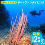 チケット ファンダイビング 初級2DIVE 2名