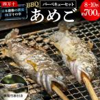 清流育ちの四万十あめご 約700g