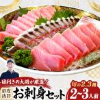 大将のおまかせ刺身2~3種類盛 Efs-A01