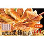 fu.... налог 062-1-15 Кагосима чёрный свинья гёдза сырой . способ тест 12P( итого 144 шт ) Кагосима префектура Minamikyushu город 