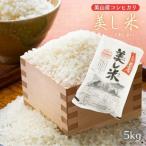 お米 美し米 5kg