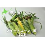 とうもろこし スイートコーン 黄 12本