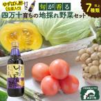 特製ポン酢付き 安心安全の地ドレ野菜 旬が香る7種セット