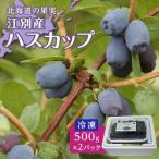 江別産ハスカップ 冷凍 500g×2パック