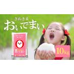 おいでまい 10kg