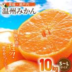 みかん 10kg