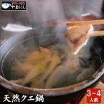 天然クエ鍋セット 3-4人前 450g