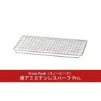 ふるさと納税 スノーピーク 焼アミステンレスハーフ Pro. S-029HA (Snow Peak) キャンプ用品 アウトドア用品 【012S015】 新潟県三条市