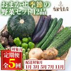 自慢の農家×老舗青果店の新鮮でおいしいおまかせ野菜便 12…