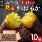 島津甘藷 熟成紅はるか 10kg