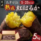 島津甘藷 熟成紅はるか 5kg