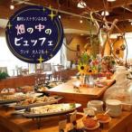 ふるるファーム ビュッフェランチ お食事券