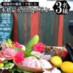 西海岸の絶景 で楽しむ本格炭火BBQプラン 3名様