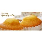 マドレーヌ 専門店 焼き菓子 おやつ