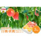 ふるさと納税 【2025年産 先行予約】 白桃&黄桃 詰め合わせ (品種おまかせ) 3kg 東根農産センター提供 山形県 東根市 hi027-156-1 令和7年産 も.. 山形県東根市