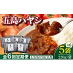 こだわりの五島ハヤシ5袋セット