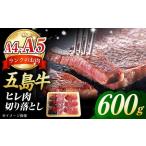 五島牛 ヒレ切り落とし600g 肉のマルヒサ
