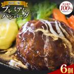 プレミアム ハンバーグ 6個