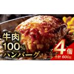 ふるさと納税 無添加 牛肉100％ ハンバーグ 4個 合計 600g 個包装 大阪府泉佐野市