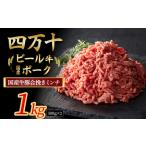 ふるさと納税 国産牛肉・豚肉の合挽肉 1kg(500g×2) 国産 牛肉 豚肉 ミンチ 合挽肉 小分け 冷凍 四万十ポーク ハンバーグ 人気 /Asz-A1.. 高知県四万十町