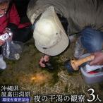 夜の干潟の観察 3人