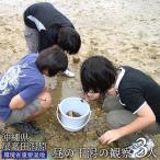 昼の干潟の観察 3人
