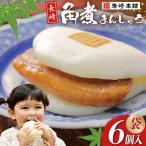FG006 岩崎本舗 長崎角煮まんじゅう 6個入