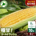 とうもろこし ゴールドラッシュ 10本