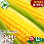 とうもろこし ゴールドラッシュ 2Lサイズ以上 12本