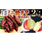 訳あり 冷凍 ミニ 焼き芋 紅はるか 2kg