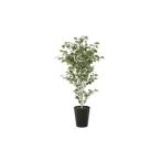 光の楽園 白樺1.4 インテリア 光触媒 人工植物