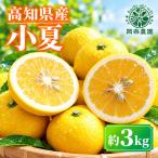 小夏 日向夏 3kg