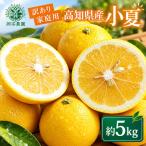 訳あり小夏 日向夏 5kg