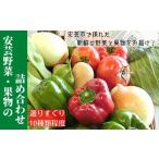 安芸 お野菜セット 新鮮野菜