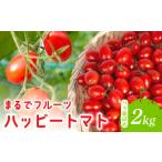 ハッピートマト2kg