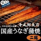 お魚屋さんのうなぎ蒲焼 約400g