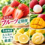 高知ブランドの旬のフルーツ定期便 いちご